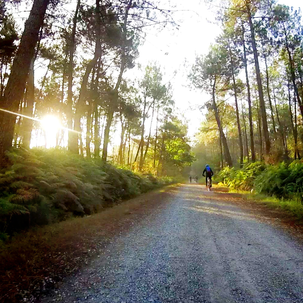 evenement-eco-responsable-rando-vtt https://www.usgm-vtt.com/wp-content/uploads/2026/06/evenement-eco-responsable-rando-vtt.jpg